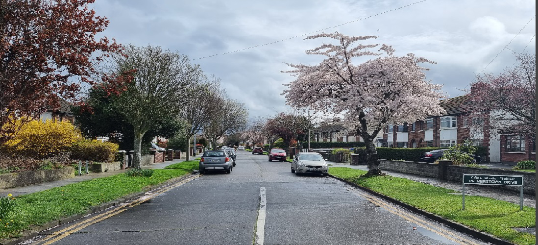 Ballyfermot Street View